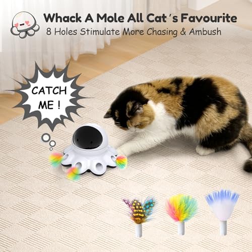 ORSDA 2-in-1 Cat Laser Toy