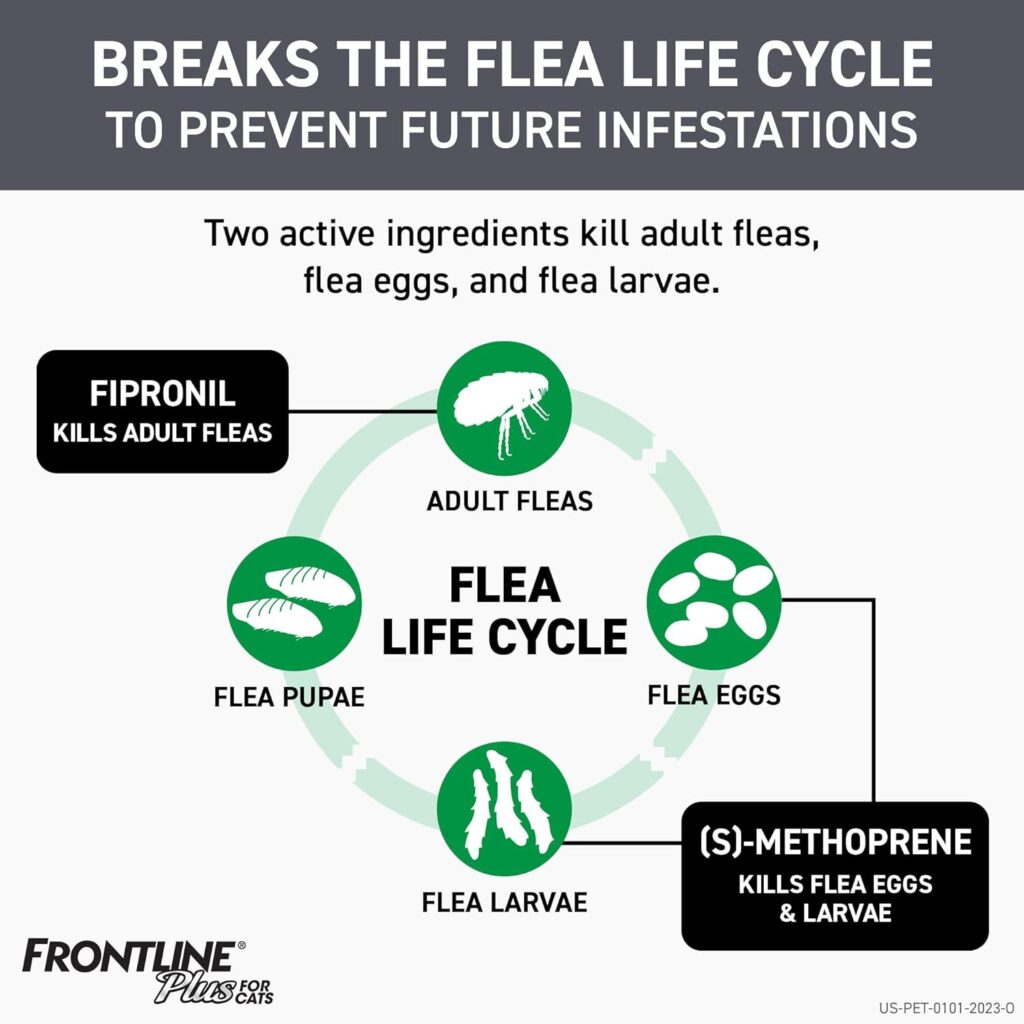 The Ultimate Flea & Tick Solution