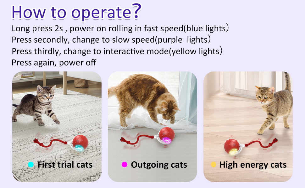 Interactive Rolling Cat Toy with Chirping Sounds